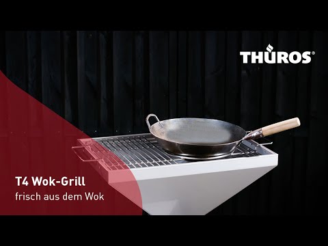 Wok ring grate support for T4 models